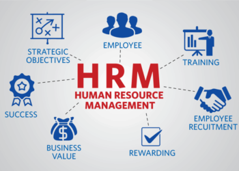 What is Human Resource Management and Why It Is Important for Small Businesses?