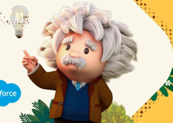 What is the Salesforce Einstein Features?