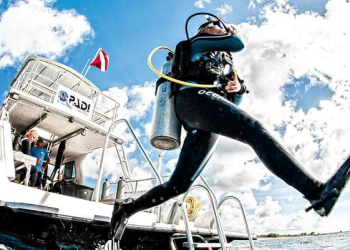 Top Skills You Learn in the PADI Boat Diver Course