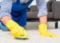 Trusted Carpet Cleaning Services Noida: Your Guide to Finding Services Nearby
