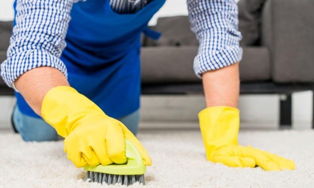 Trusted Carpet Cleaning Services Noida: Your Guide to Finding Services Nearby